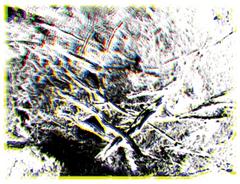 Klammer / Lettow / Müller: a bunch of bones