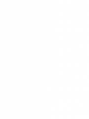 Leiser, Karo, leiser