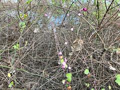 klingding radio • im Studio: Michael Wegener / hauptsächlich verdächtig • FSK 93,0 Mhz + DAB+