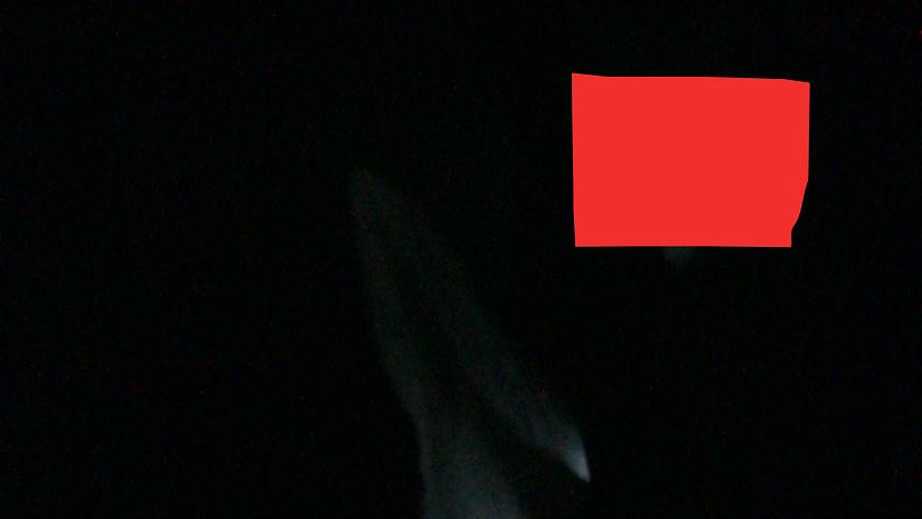 Nika Son: Scatter, no turn