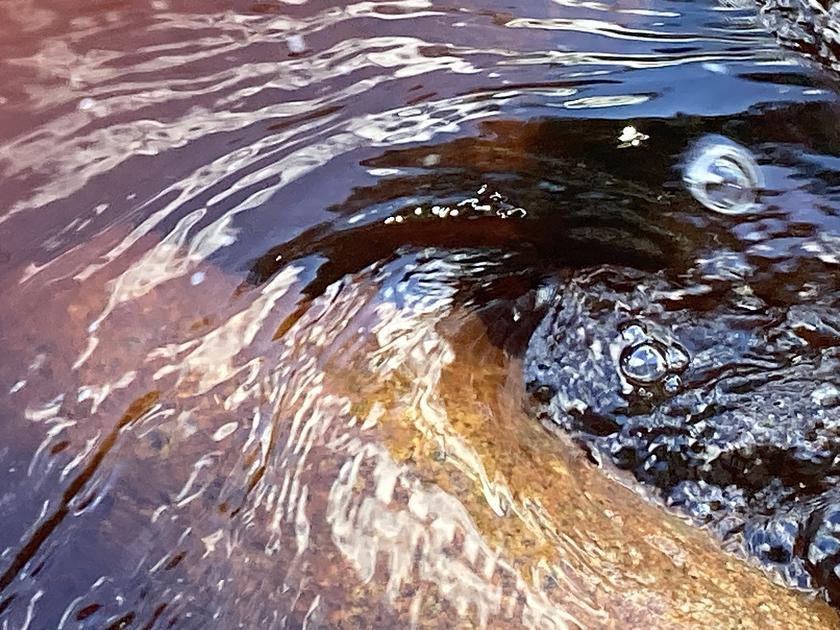 oTonal & friend – Intuitive Musik