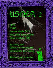Usnea #2