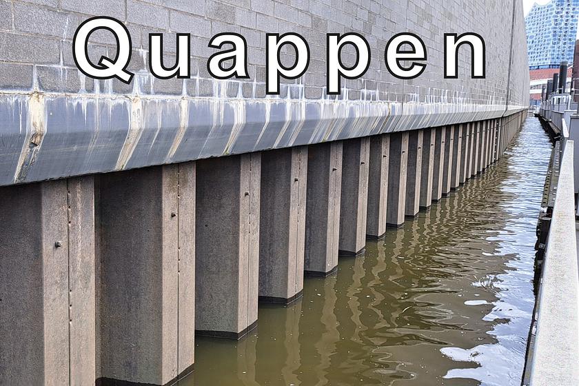 Quappen