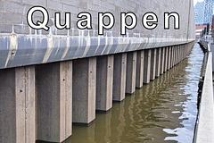 Quappen