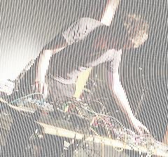 Difficult Music: David Wallraf Live