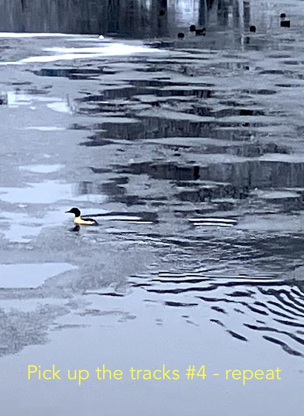 klingding radio • 16.1.26 – 22:00 • pick up the tracks #4 • FSK 93,0 Mhz ± DAB+