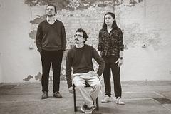 Die schlaue Bildkröte