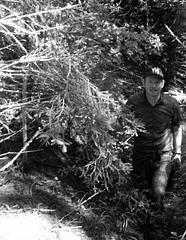 Hörstück PERRUDJA/ H.H.Jahnn