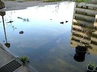 klingding Radiosendung fsk 93,0/101.4 mhz und livestream