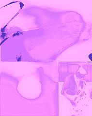 Fello, Drosophilae & a City Dragon