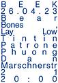 BEEK w/ Bear Bones, Lay Low, Tintin Patrone, Phuong Dan