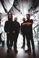 Kayo Dot