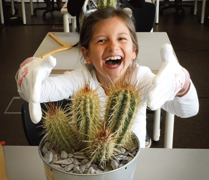 Cactus Sonorus – Workshop für Kinder