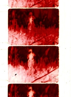 Stark Bewölkt: METAMKINE / Granular Fields